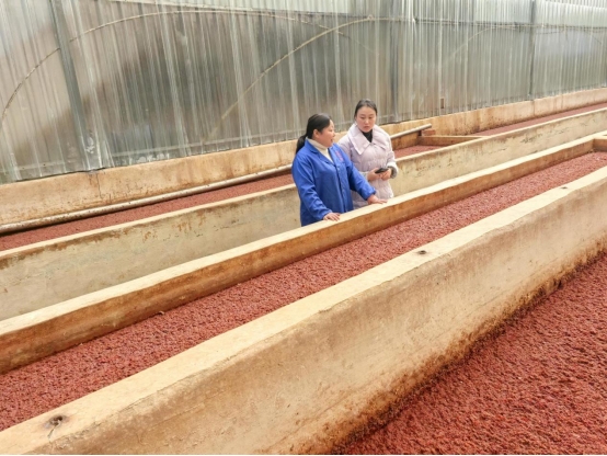 助力川菜魂，守护烟火气——邮储银行成都市分行成功落地全省首笔集群E贷